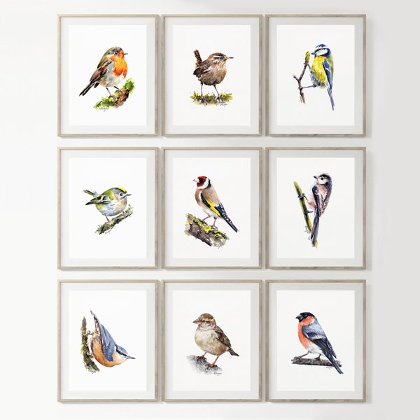 Garden Birds PRINT Set of 9, Robin Wren Blue Tit Goldfinch Long-tailed Tit Watercolour Painting Wall Art, Prints from Original Art Unframed