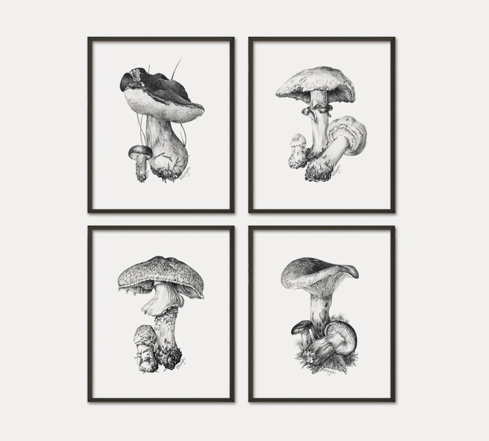 PRINTABLE Mushroom Wall Art Print Set of 4 Graphite Pencil Etsy