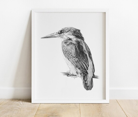 鉛筆アート「カワセミ」真筆、1点物 印刷可能なカワセミのアートプリント、カワセミの鳥の鉛筆画の壁アート