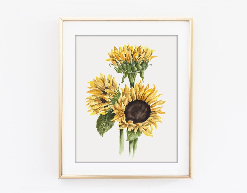 Sunflowers Art PRINT, Garden Flower Watercolor Painting Wall Art, Print from Original Watercolour Painting Unframed image 5