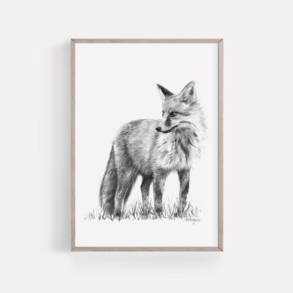 Fox Art Print Printable Red Fox Pencil Drawing Wall Art Etsy Australia