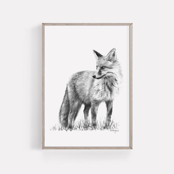 PRINTABLE Fox Art Print, Red Fox Pencil Drawing Wall Art, Woodland