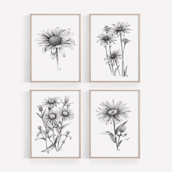 Wand Wand Blumen Kunst Set, Bleistift Kunst, Wiese Schweiz Sofort Zeichnung, Etsy - Graphit Gänseblümchen Skizze botanische Poster Download 4er DRUCKBARE