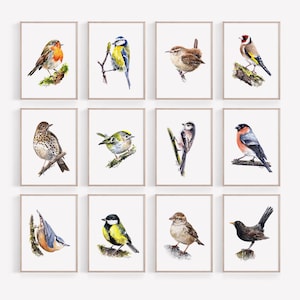 Ensemble de 12 impressions d&#39;oiseaux de jardin, aquarelles d&#39;oiseaux, art mural, décoration de la nature, estampes d&#39;oiseaux chanteurs britanniques à partir d&#39;oeuvres d&#39;art originales sans cadre