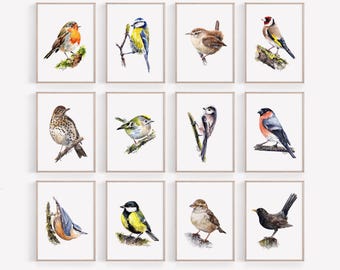 Garden Birds Print Set of 12, Birds Watercolour Paintings, Wall Art Nature Decor, British Songbird Prints from Original Artwork Unframed