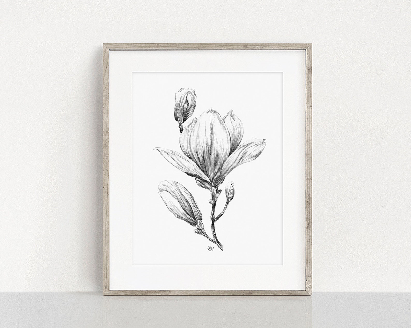 PRINTABLE Magnolia Art Print Graphite Pencil Drawing - Etsy