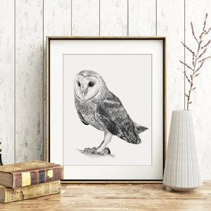 May include: A black and white pencil drawing of a barn owl in a framed print. The owl is perched on a branch and looking to the left. The print is framed in a gold frame and is hanging on a white wall.