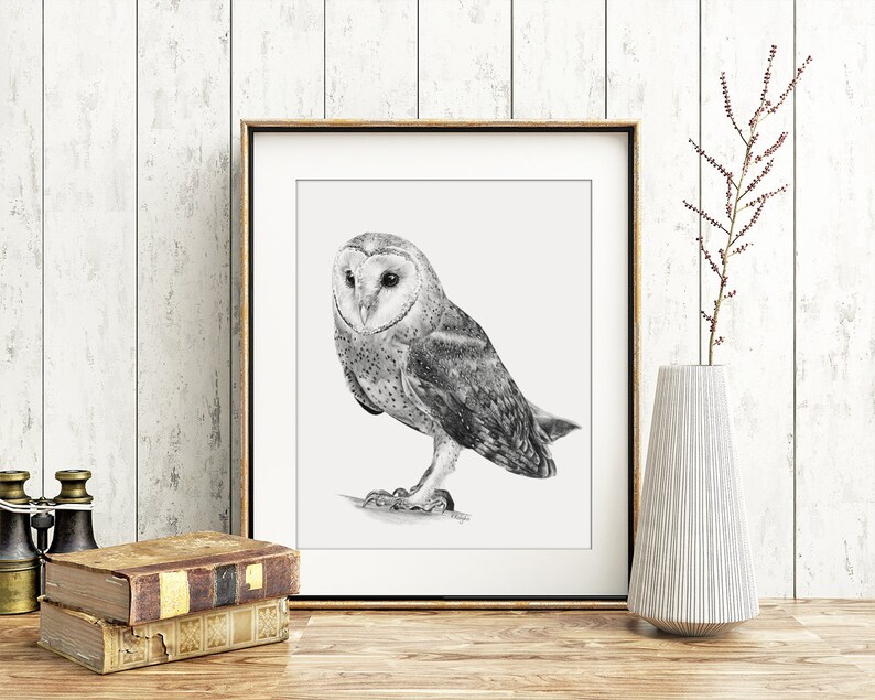 May include: A black and white pencil drawing of a barn owl in a framed print. The owl is perched on a branch and looking to the left. The print is framed in a gold frame and is hanging on a white wall.