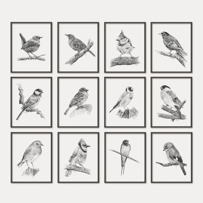 PRINTABLE Garden Birds Print Set of 12 Birds Pencil Drawing Etsy