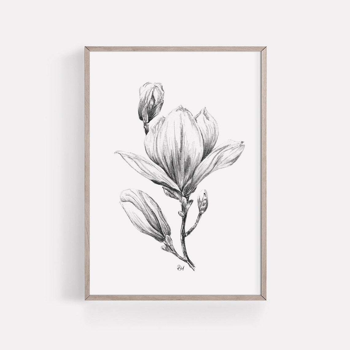 PRINTABLE Magnolia Art Print Graphite Pencil Drawing - Etsy