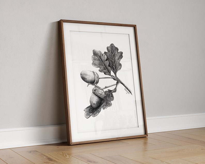 Acorn Art PRINT, Nut Graphite Pencil Drawing, Woodland Decor, Autumn Sketch, Autumn Nature Print from Original Pencil Sketch Unframed image 4