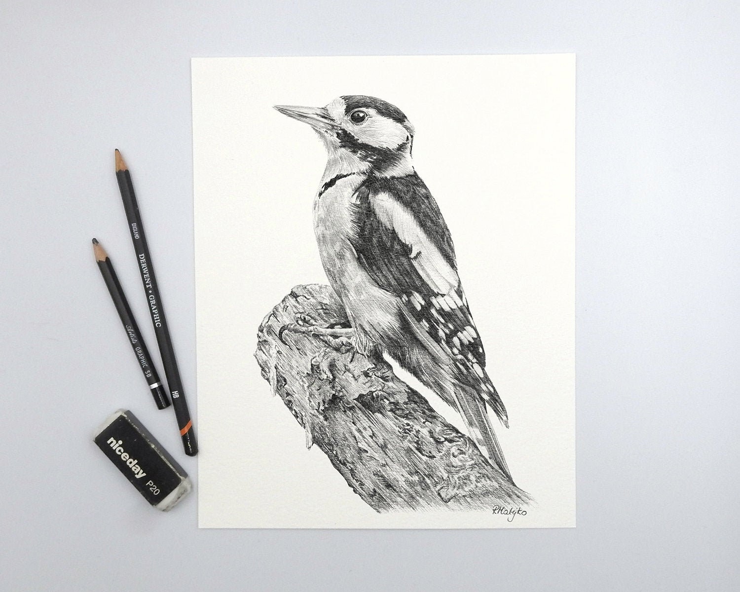 ORIGINAL Woodpecker Bird Pencil Drawing Bird Wall Art Nature | Etsy