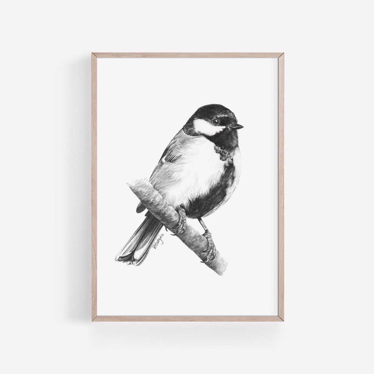 PRINTABLE Garden Birds Wall Art Print Set of 6 Birds Pencil - Etsy