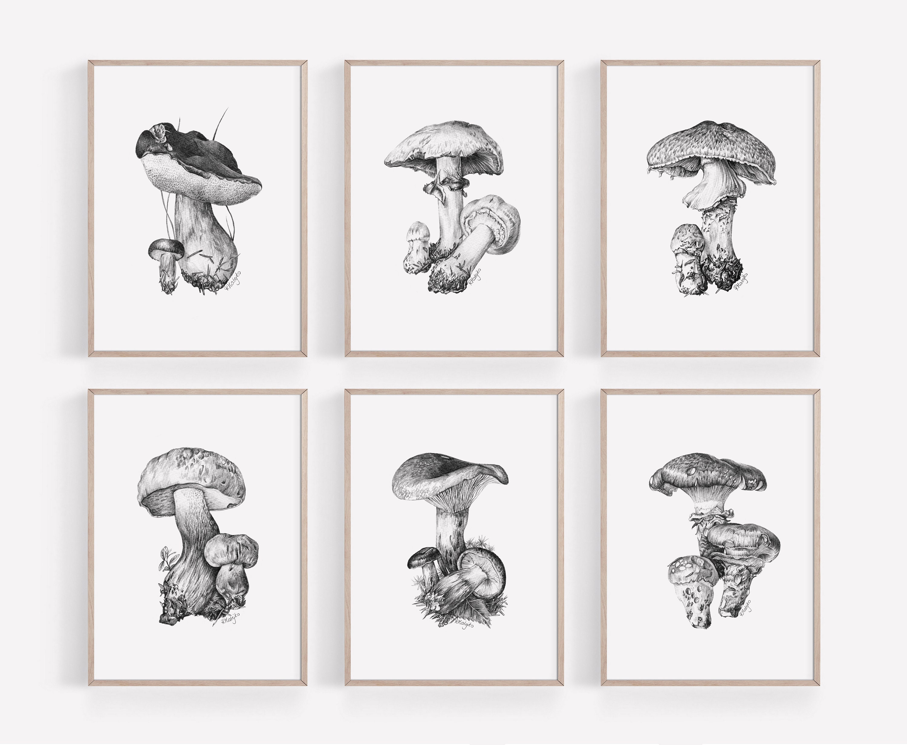 Mushroom Wall Art Print Set of 6 Printable Graphite Pencil Etsy