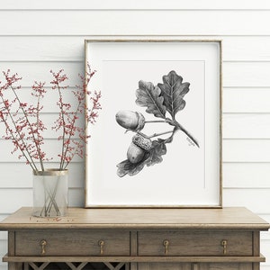 Acorn Art PRINT, Nut Graphite Pencil Drawing, Woodland Decor, Autumn Sketch, Autumn Nature Print from Original Pencil Sketch Unframed image 7