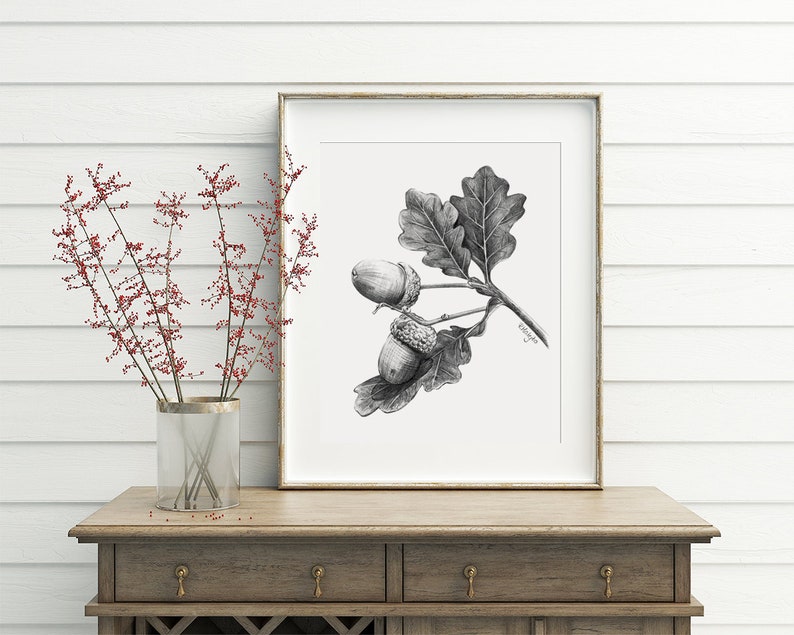 Acorn Art PRINT, Nut Graphite Pencil Drawing, Woodland Decor, Autumn Sketch, Autumn Nature Print from Original Pencil Sketch Unframed image 7