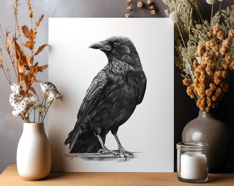 ORIGINAL Raven Pencil Drawing, Carrion Crow Bird Wall Art, Nature Farmhouse Decor, Original Pencil Sketch Artwork Unframed
