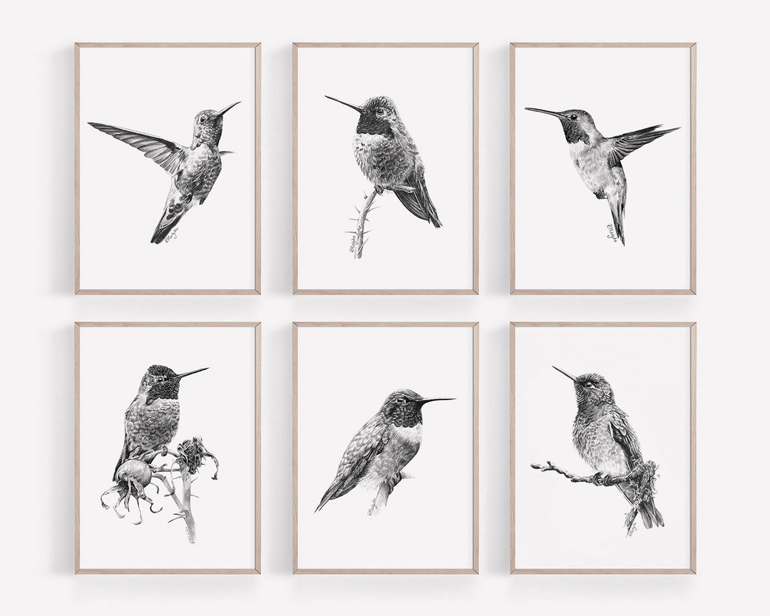 PRINTABLE Hummingbirds Wall Art Print Set of 6 Hummingbirds Etsy