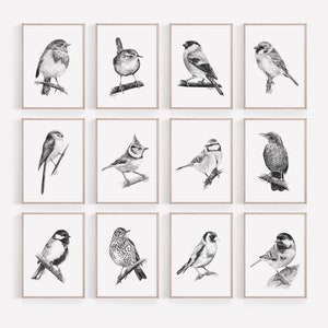 PRINTABLE Garden Birds Print Set of 12, Birds Pencil Drawing, Wall Art Nature Decor, Songbird Sketch, Bird Wildlife Poster INSTANT DOWNLOAD