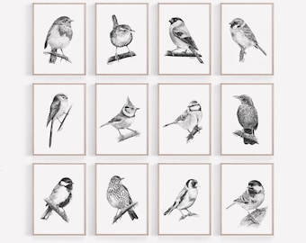 May include: A set of 12 black and white pencil drawings of different bird species, each framed in a simple, light wood frame. The birds are depicted in a realistic style, with detailed feathers and expressions.