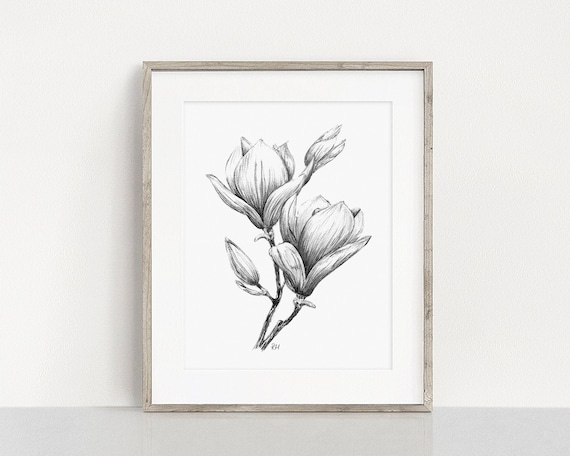 グラファイト鉛筆画。