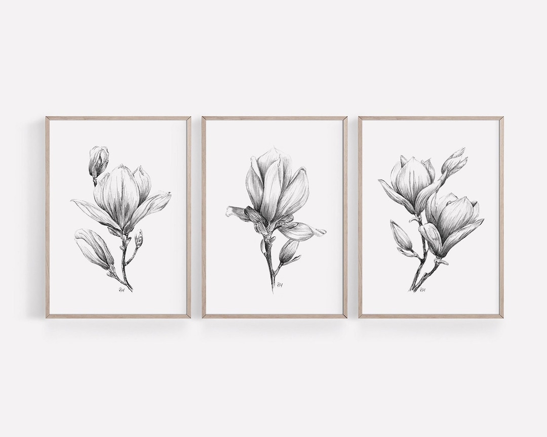 PRINTABLE Magnolia Drawing Wall Art Print Set of 3, Graphite Pencil ...