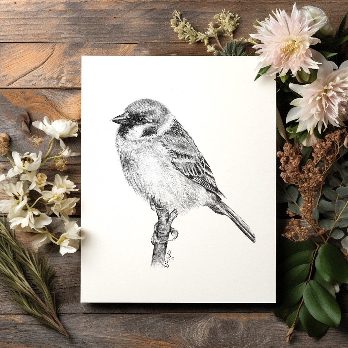 ORIGINAL Sparrow Bird Pencil Drawing Garden Bird Wall Art Nature Decor Bird Watching Gift Original Pencil Sketch Unframed Etsy