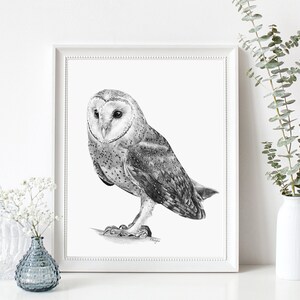 May include: A black and white pencil drawing of a barn owl with its wings folded. The owl is perched on a branch and is looking to the left. The drawing is framed in a white frame.