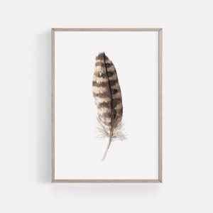 PRINTABLE Rustic Art Set Of 4 Watercolor Feathers Cotton Magnolia Painting, Neutral Bedroom Art, Cottagecore Rustic Decor Instant Download image 5