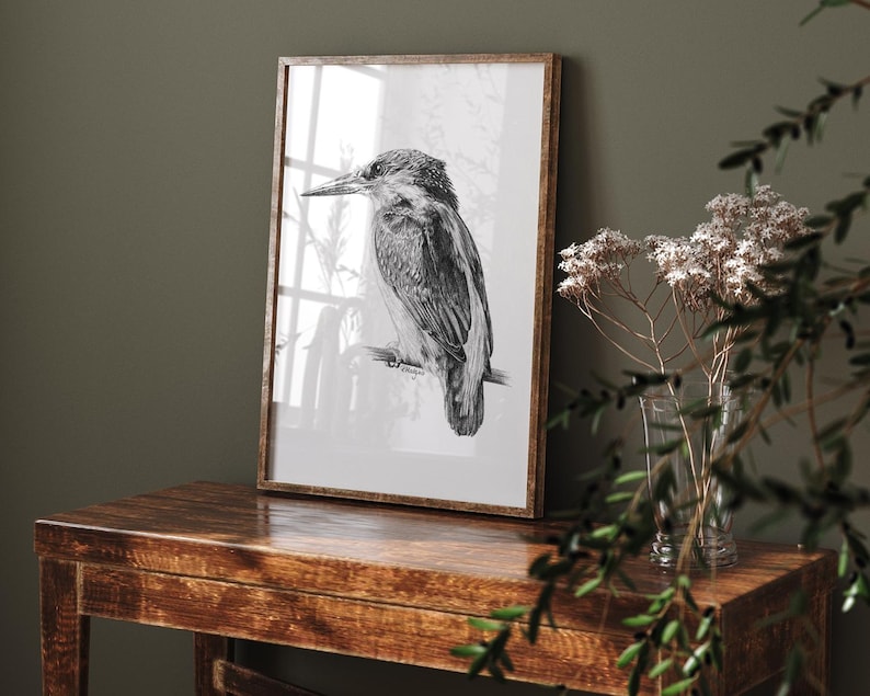Kingfisher Art PRINT, Pencil Drawing Wall Art, Nature Decor, Fishing ...