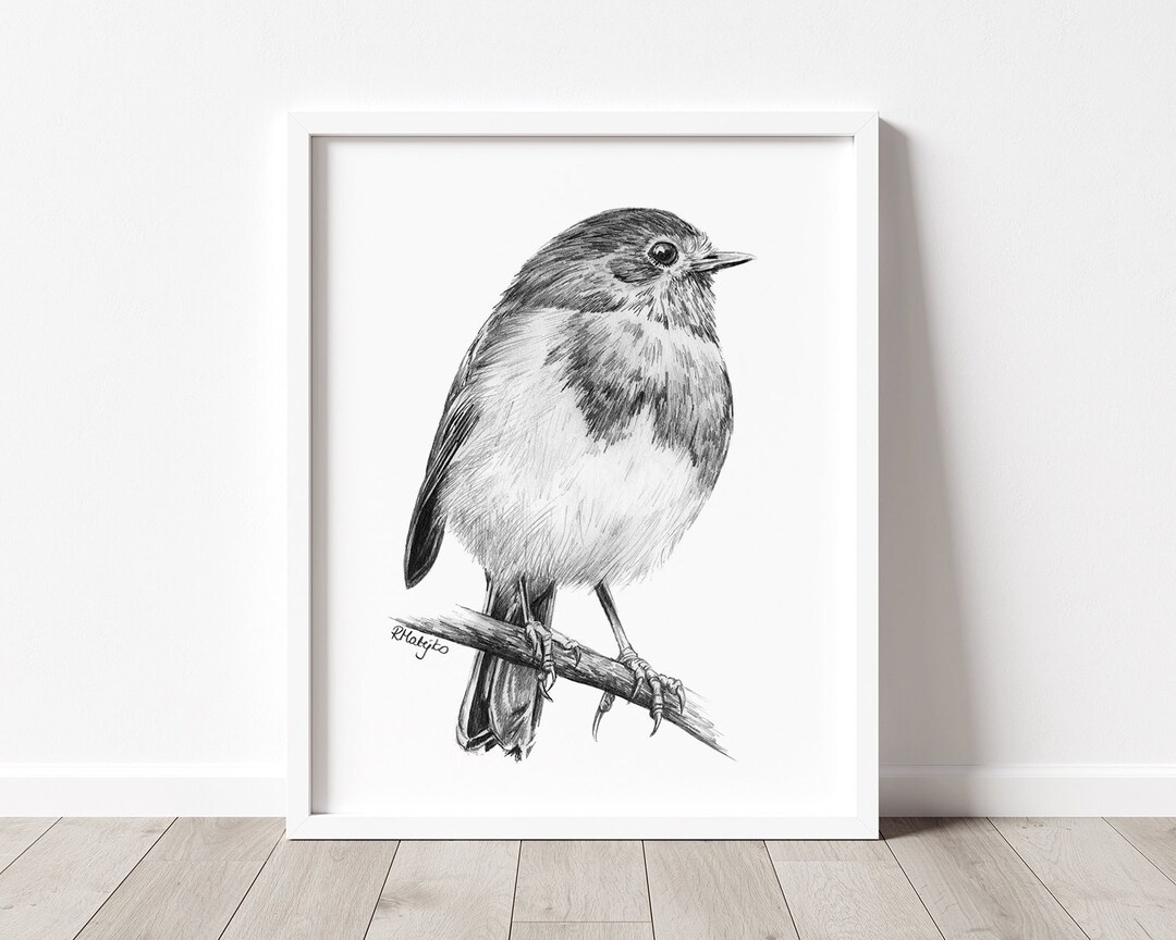 PRINTABLE Robin Wall Art Print, Pencil Drawing Wall Art, Bird Sketch