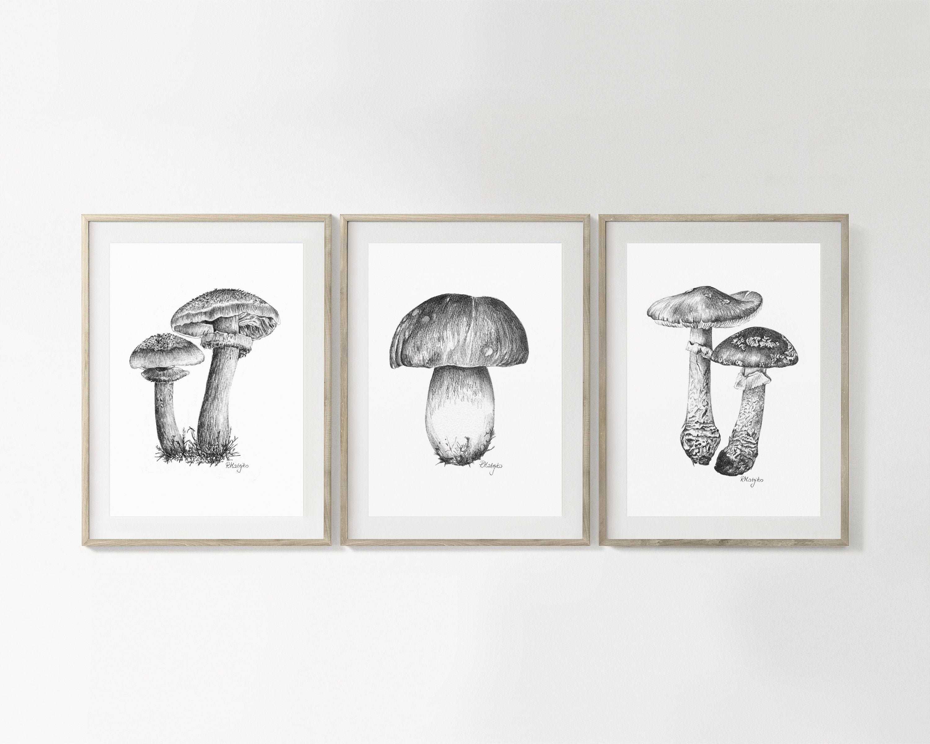 PRINTABLE Mushroom Wall Art Print Set of 3 Graphite Pencil Etsy