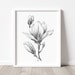 PRINTABLE Magnolia Art Print Graphite Pencil Drawing - Etsy