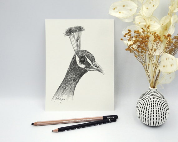 Original Peacock Pencil Drawing Bird Wall Art Peacock Art Nature Decor Illustration Unique Gift Original Pencil Sketch Artwork Unframed
