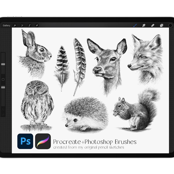 Woodland Stamp Brushes for Procreate + Photoshop, Hand Drawn Forest Wildlife Stamps, Animals Feathers Pencil Sketches - INSTANT DOWNLOAD