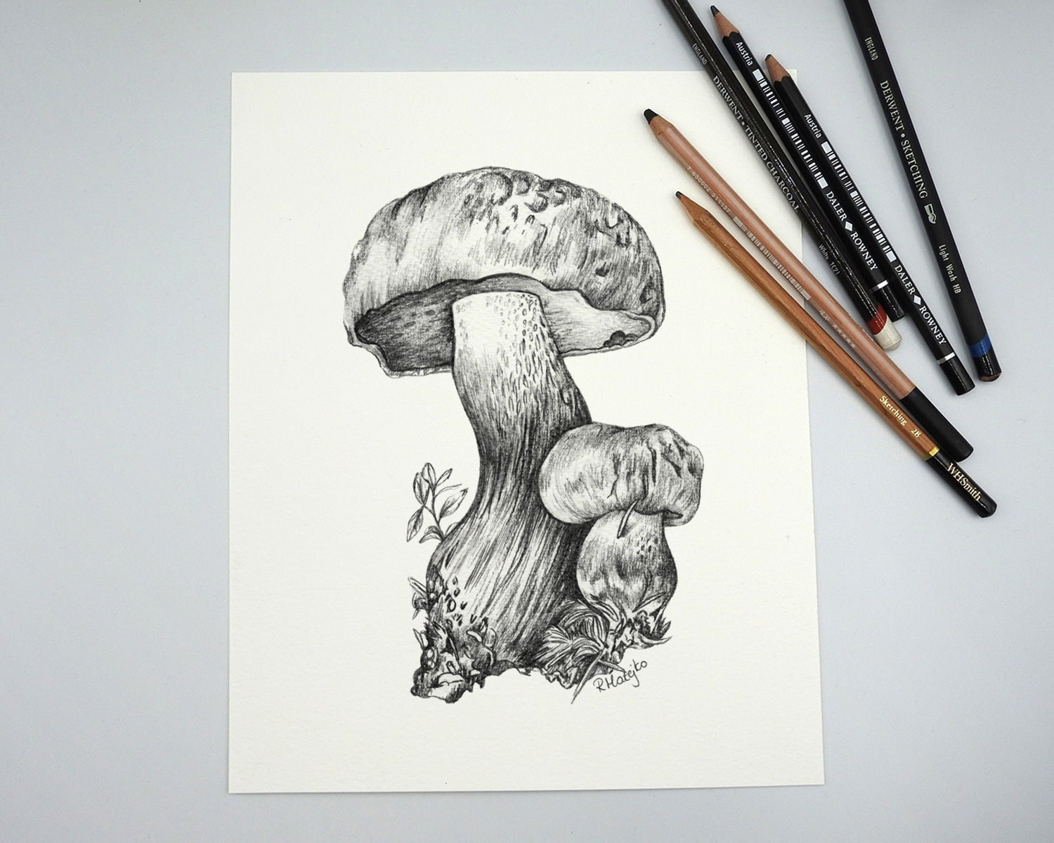 ORIGINAL Mushroom Pencil Drawing Mushroom Wall Art Forest Etsy UK