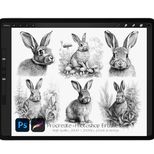 12 Rabbit Stamp Brushes for Procreate + Photoshop, Large Detailed Stamps, Realistic Bunny Sketches Stamps - INSTANT DOWNLOAD