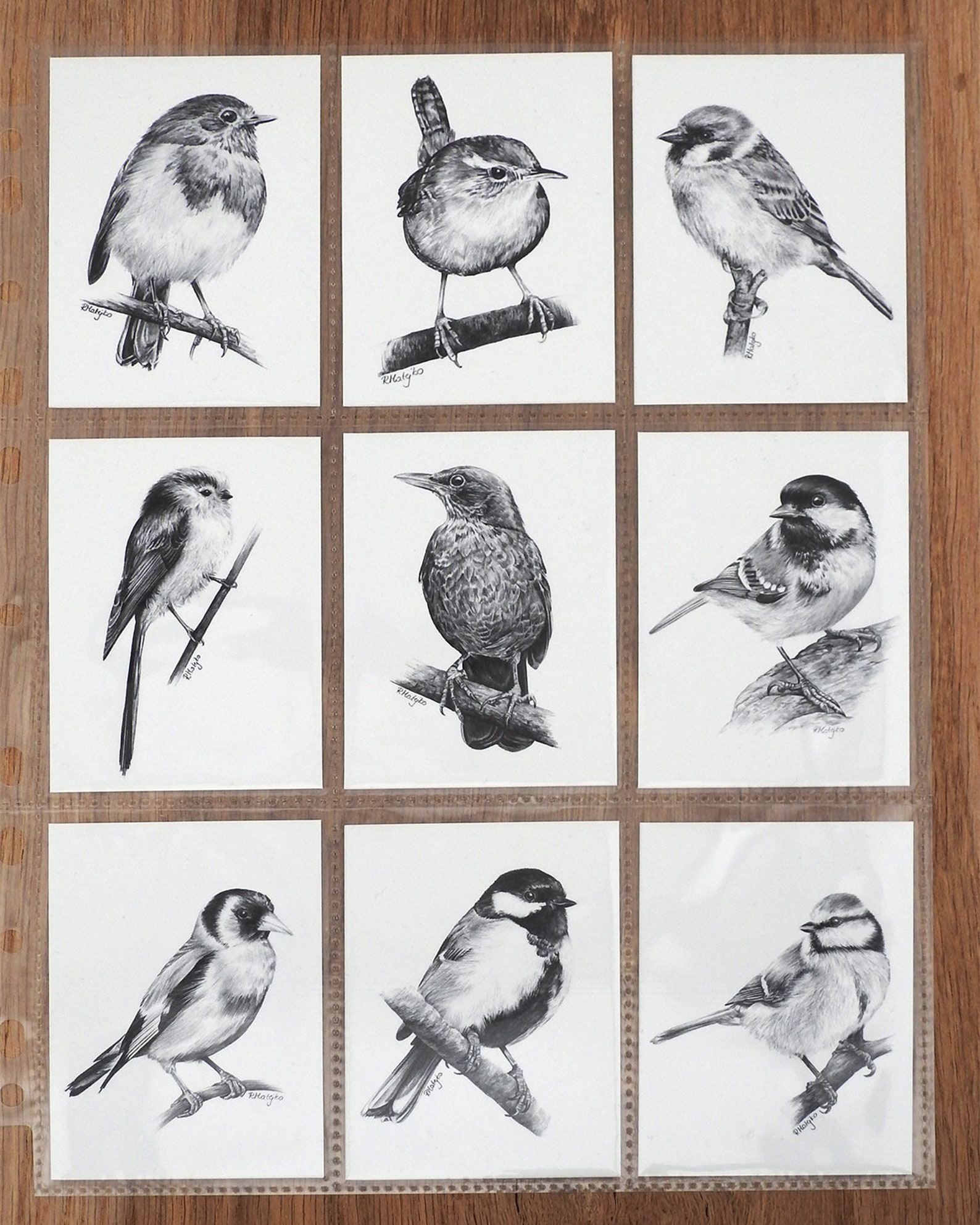 SIGNED ACEO Collection of 9 Mini Bird Prints, Pencil Drawing Trading ...
