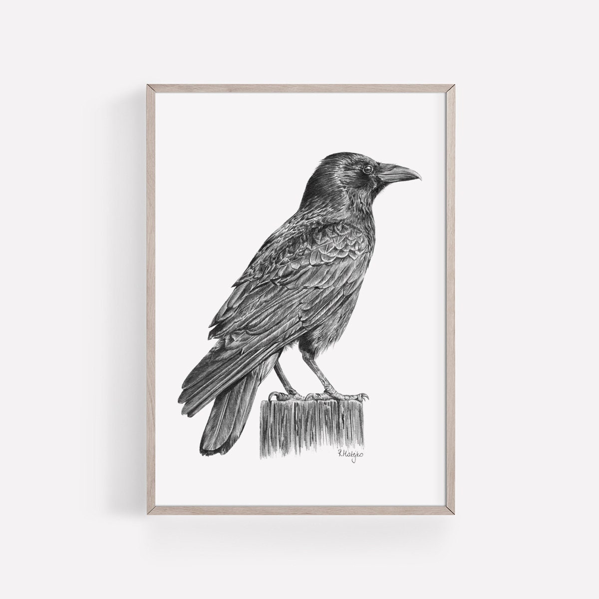 TARGET Sketch Book - Raven - (Sketch Books) by Graphic Arts Books
