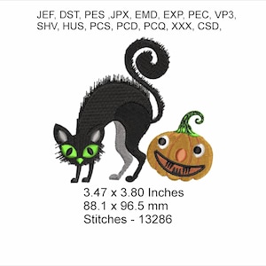 Salem the Scared Cat with Pumpkin - Size 3.47 x 3.80 Inches - Machine Embroidery Hoop Design - Digital Download