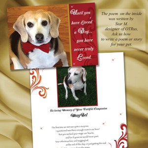 Jusqu'à ce que vous aimiez un chien, carte Rainbow Bridge, chien Rainbow Bridge, poème Rainbow Bridge, carte de sympathie pour animal de compagnie, carte de sympathie pour chien,