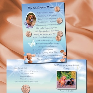 Chien pennies Rainbow Bridge, poème Rainbow Bridge pour chiens, carte de sympathie pour animal de compagnie, carte de perte d'animal de compagnie, centimes du ciel