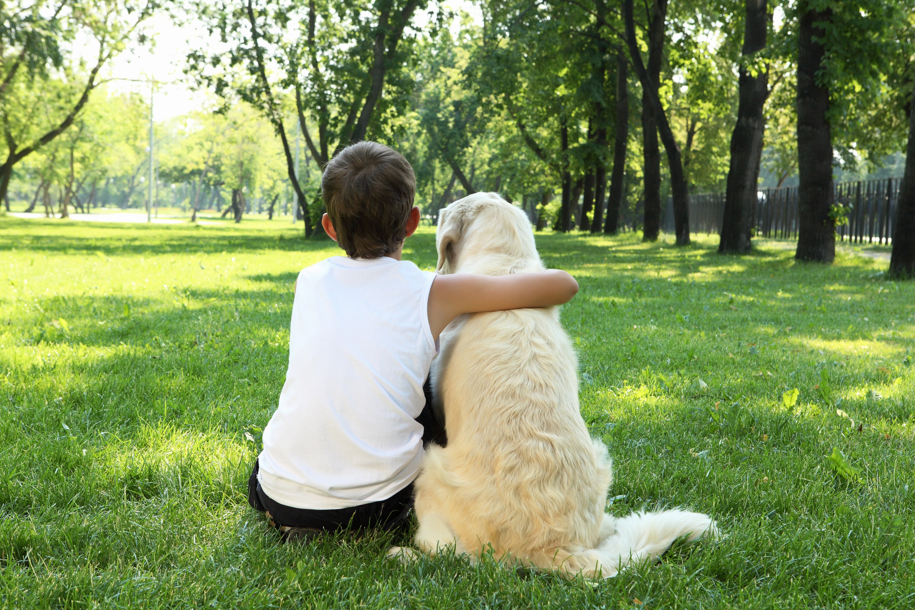 Biglietto di condoglianze per animali domestici con un cane pechinese sotto l'arcobaleno in tenui colori pastello - Italia