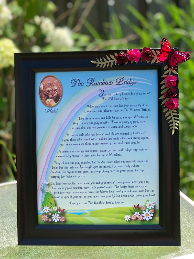 Download Art Collectibles Pet Portraits Pet Memorial Dog Lover Gift Cat Rainbow Bridge Poem Over The Rainbow Us Dog Framed Pet Portrait Pet Loss Framed Pet Sympathy Gift