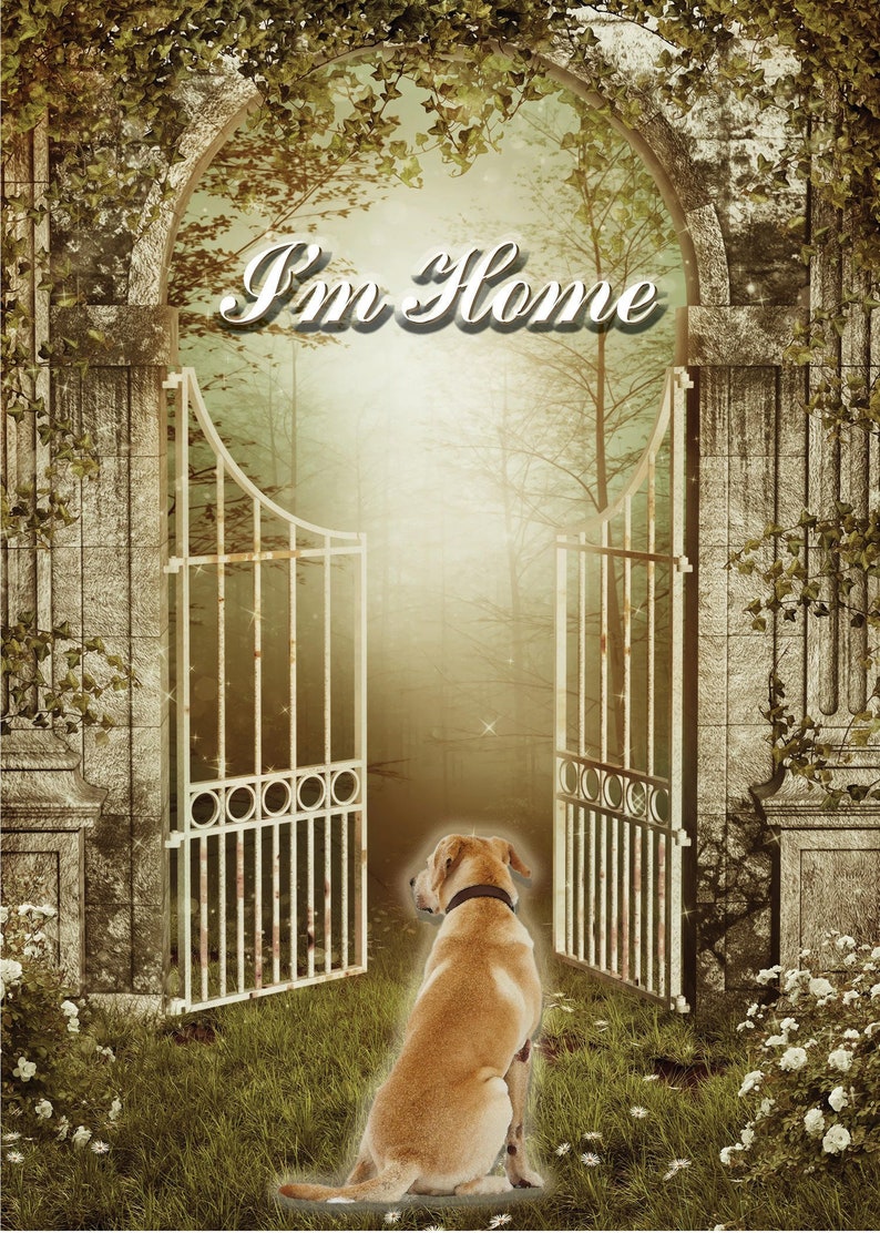 Pet Sympathy card Rainbow Bridge Poem Gates of Rainbow Bridge Rainbow Bridge dog OvertheRainbowUS Rainbow Bridge pet card