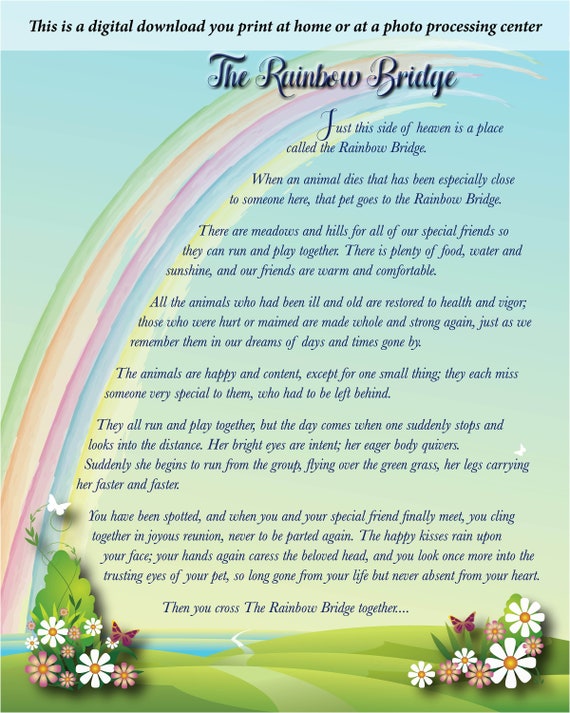 You Print Or We Mail Rainbow Bridge Digital Download Personalized Digital Download Rainbow Bridge Poem With Photo Over The Rainbow Us Pet Portraits Art Collectibles Lifepharmafze Com