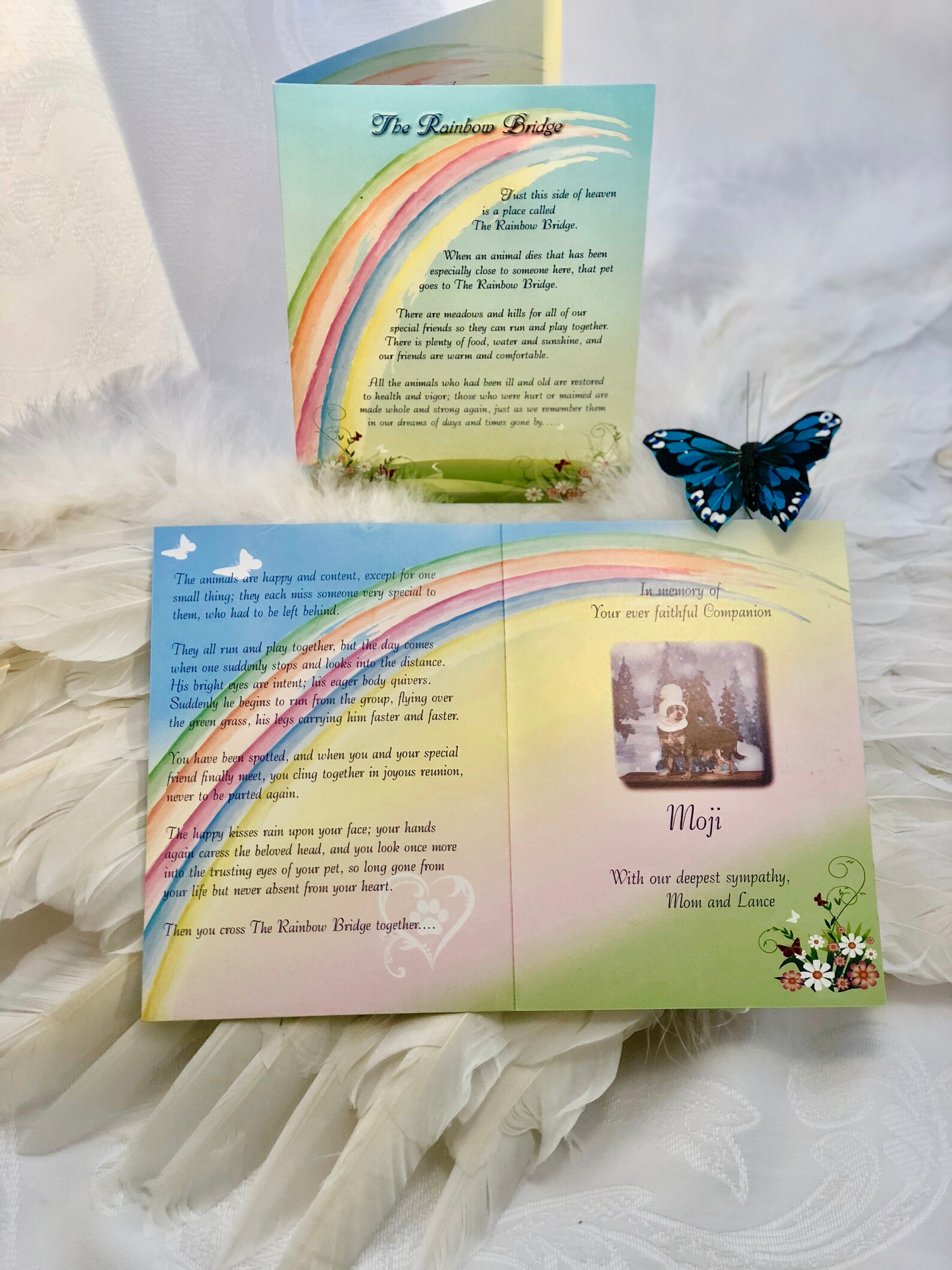 Rainbow Bridge CARDPersonalized and mailed Rainbow Bridge | Etsy