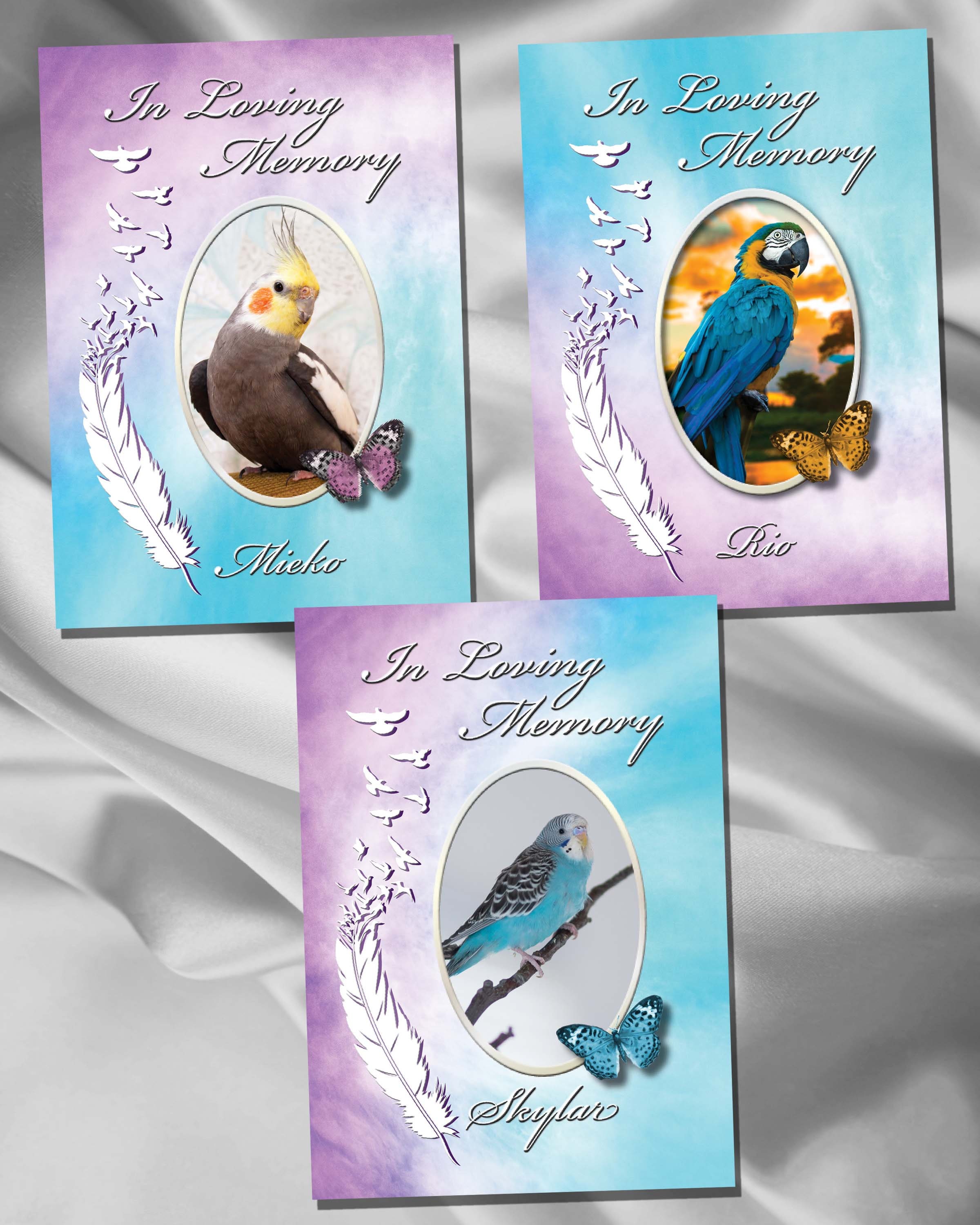 Bird Sympathy Card Bird Sympathy Bird Prints Parakeet Card Etsy