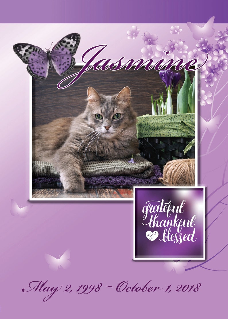 Cat Sympathy Card Rainbow Bridge Card Purple Cat Sympathy Etsy