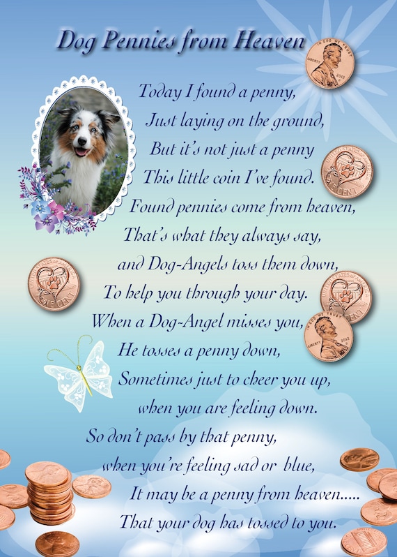 Dog Pennies Rainbow Bridge Dog Rainbow Bridge Poem for Dogs - Etsy